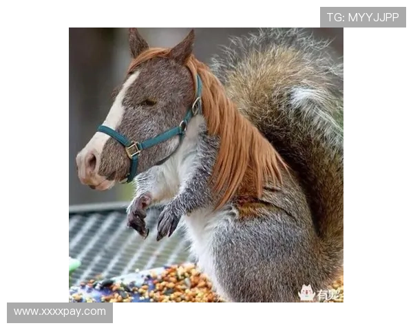 “驴”的智慧：那些被低估的生命